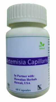 Hawaiian herbal artemisia capillaris capsules