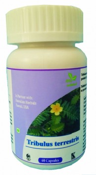 Hawaiian herbal tribulus terrestris capsule