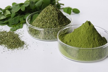 moringa powder