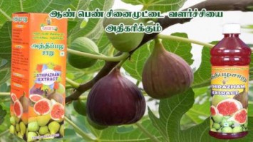 ATHIPAZHAM EXTRACT