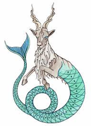 Capricorn Horoscope 2020 Astrology