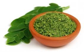 MORINGA DRY LEAVES