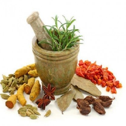  Ayurvedic Doctor Service Provider from Delhi